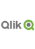 QlikTech_Logo Think Tank
